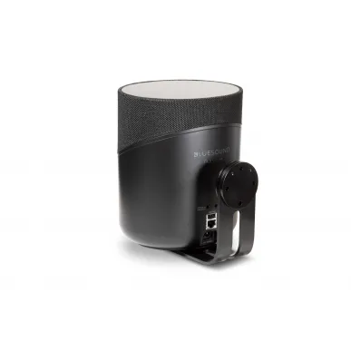 Умная колонка Bluesound Pulse M, black